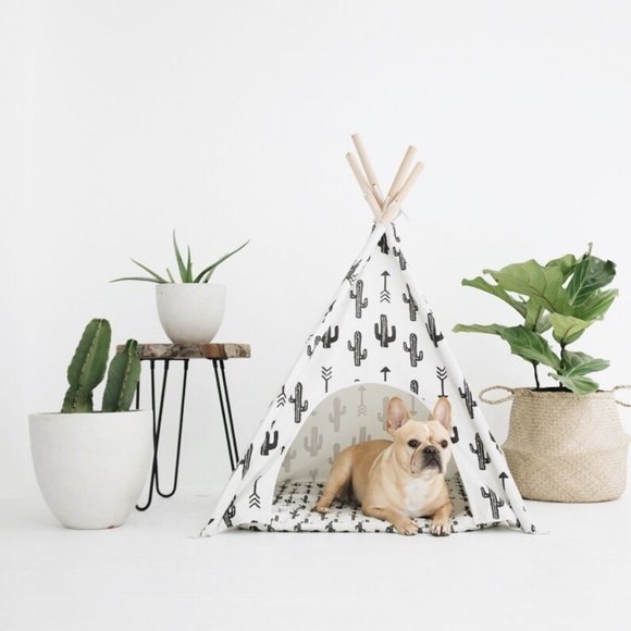 pipolli teepee